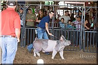 LCFAIR17-3704.jpg