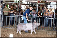 LCFAIR17-3705.jpg