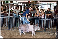 LCFAIR17-3706.jpg