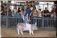 LCFAIR17-3707.jpg