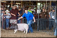 LCFAIR17-3709.jpg