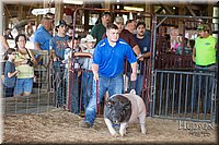 LCFAIR17-3710.jpg