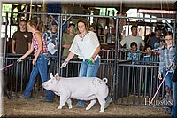 LCFAIR17-3711.jpg