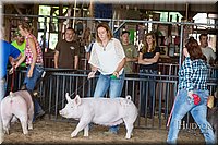 LCFAIR17-3712.jpg