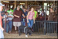 LCFAIR17-3716.jpg