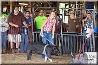 LCFAIR17-3717.jpg