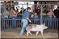 LCFAIR17-3719.jpg