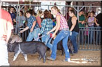 LCFAIR17-3720.jpg