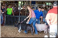 LCFAIR17-3721.jpg