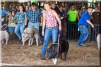 LCFAIR17-3725.jpg