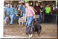 LCFAIR17-3726.jpg