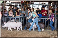 LCFAIR17-3728.jpg