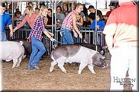 LCFAIR17-3729.jpg