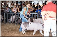 LCFAIR17-3730.jpg