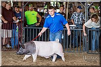 LCFAIR17-3731.jpg