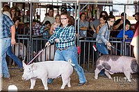 LCFAIR17-3732.jpg