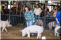 LCFAIR17-3735.jpg