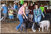 LCFAIR17-3736.jpg