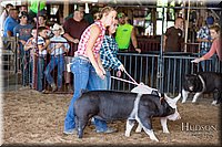 LCFAIR17-3737.jpg