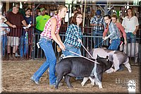 LCFAIR17-3738.jpg