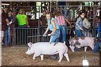 LCFAIR17-3739.jpg