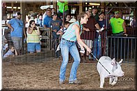 LCFAIR17-3740.jpg