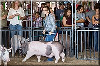 LCFAIR17-3741.jpg