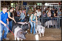 LCFAIR17-3742.jpg