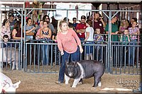 LCFAIR17-3743.jpg