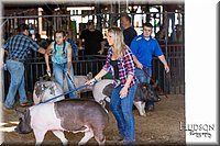 LCFAIR17-3745.jpg