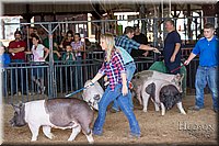 LCFAIR17-3746.jpg