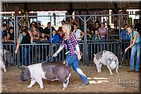 LCFAIR17-3747.jpg