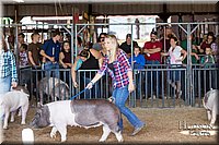 LCFAIR17-3748.jpg