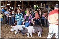 LCFAIR17-3750.jpg