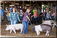 LCFAIR17-3751.jpg