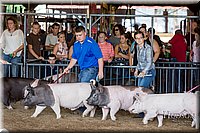 LCFAIR17-3753.jpg