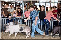 LCFAIR17-3754.jpg