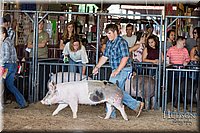 LCFAIR17-3755.jpg