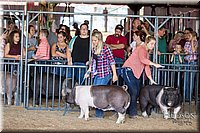 LCFAIR17-3756.jpg