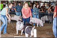 LCFAIR17-3758.jpg