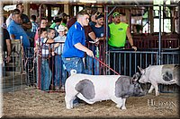 LCFAIR17-3759.jpg