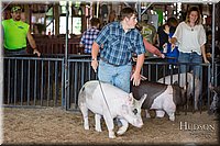 LCFAIR17-3760.jpg