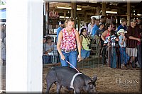 LCFAIR17-3761.jpg