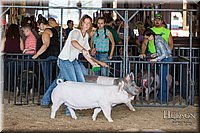 LCFAIR17-3763.jpg