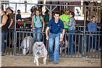 LCFAIR17-3764.jpg