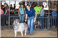 LCFAIR17-3765.jpg