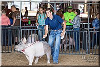 LCFAIR17-3766.jpg