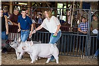 LCFAIR17-3767.jpg