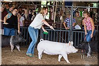 LCFAIR17-3769.jpg