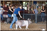 LCFAIR17-3771.jpg